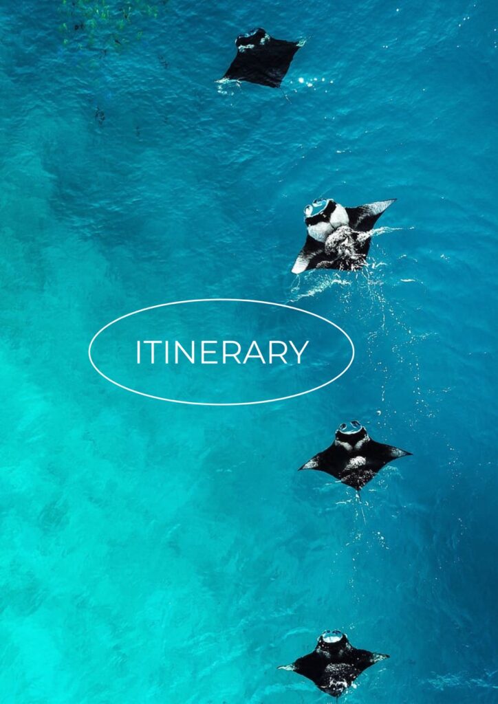 0-02-03-bd0c7a2ad0472a45ff798b84b0d6a13ec7ae49425f532dd130c3659bedec502f_8bf7c4e066c3e5fd